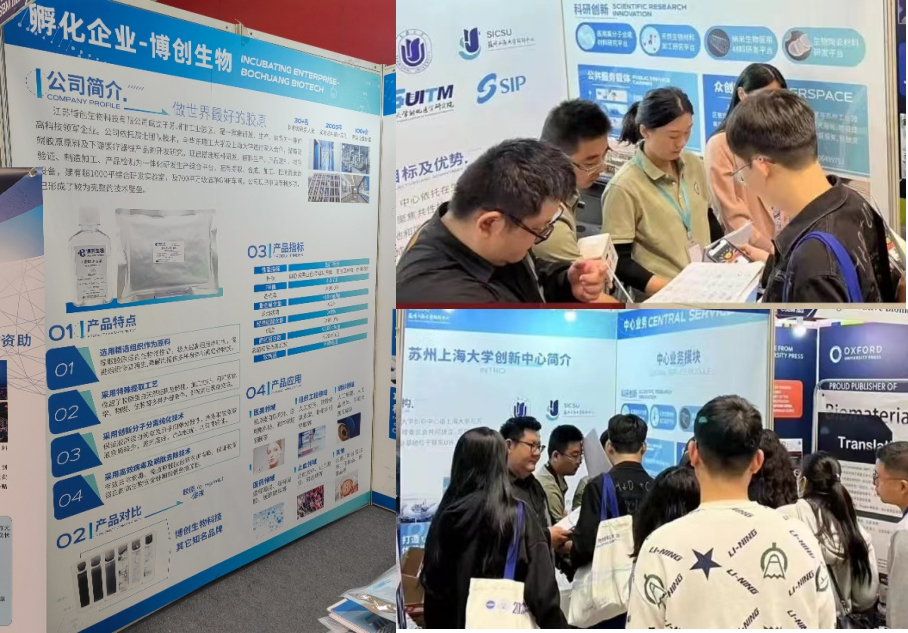 博創(chuàng )生物亮相2023中國生物材料大會(huì ) 博創(chuàng )生物亮相2023中國生物材料大會(huì )